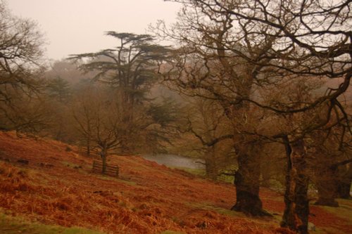 Bradgate park, Leicestershire