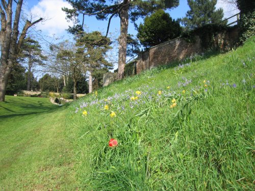 Wallingford Castle Gardens