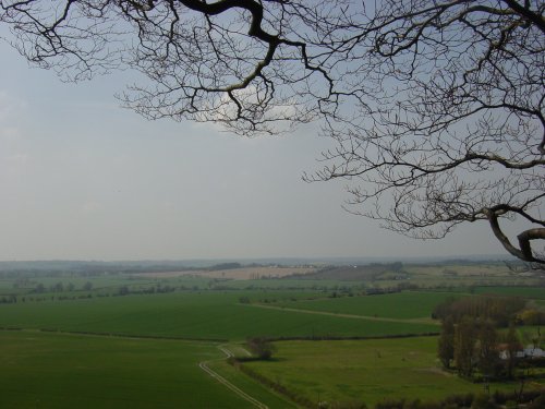 Sharpenhoe Clappers