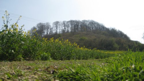 Sharpenhoe Clappers