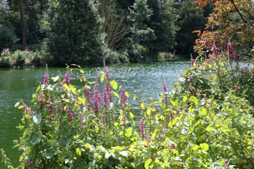 A tranquil view over the lake at Elsham Hall Country Park