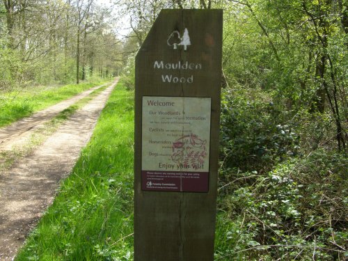 Maulden Woods