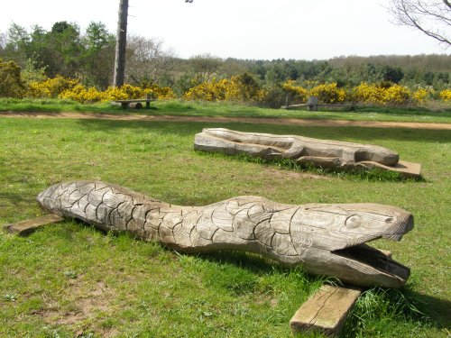Maulden Woods
