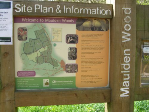 Maulden Woods