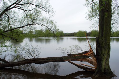 Saddington Reservoir, Leicestershire
