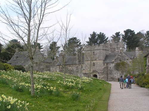 Spring flowers greet the visitor to Cotehele