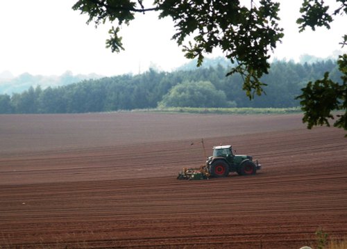 View from Witley Court, Worcestershire