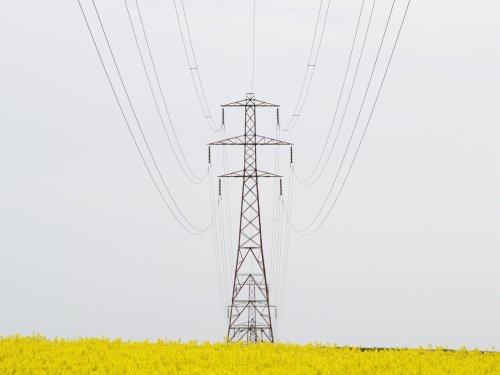 Field and pylons at Verney Junction, near Addington, Bucks