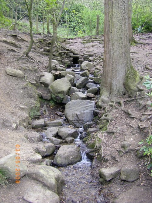 Adventure Playground