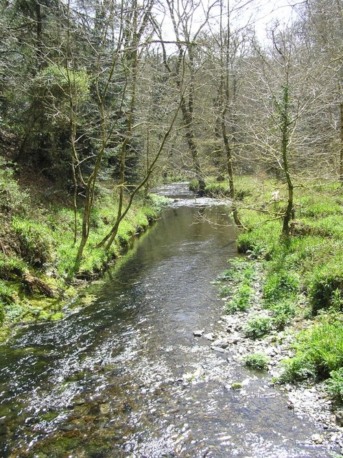 River at Lydford Gorge, Devon