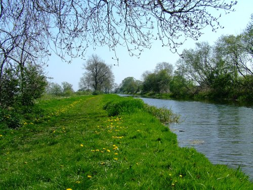 The canal, Melbourne
