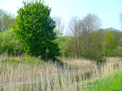 The canal, Melbourne