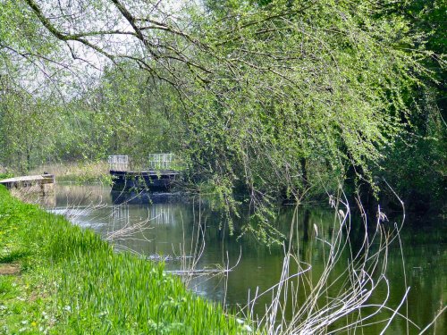 The canal, Melbourne