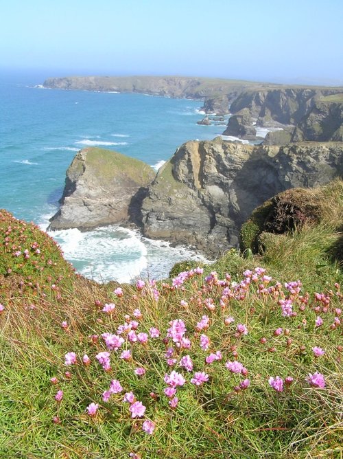 Bedruthan Steps, Cornwall, with thrift in flower on a gorgeous spring day