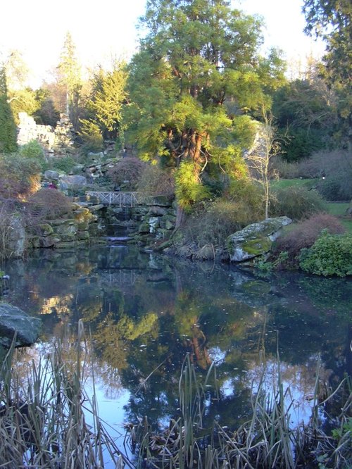 The Strid garden