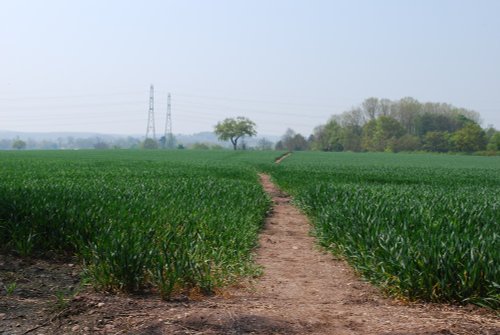 The Staffordshire Way footpath