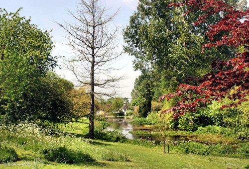 Springhead Gardens, Fontmell Magna, North Dorset