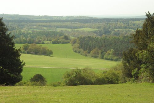 Newlands corner