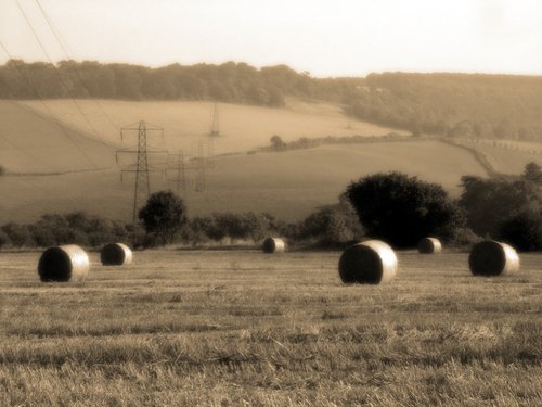 Hay Bales Cobham Kent