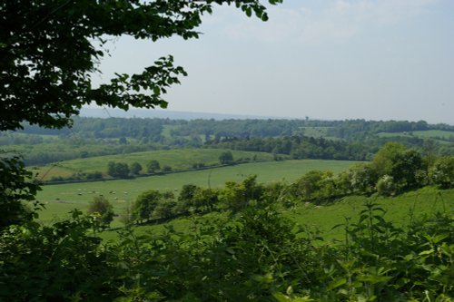 The view from the Mount