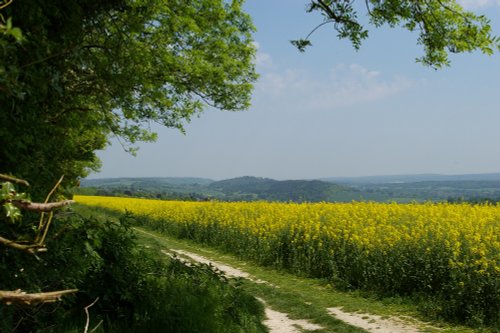 From the top of the mount, Guildford, Surrey