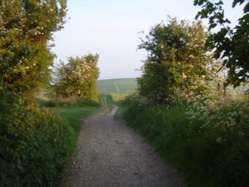 The long, long trail