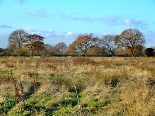 View across to the old railway line