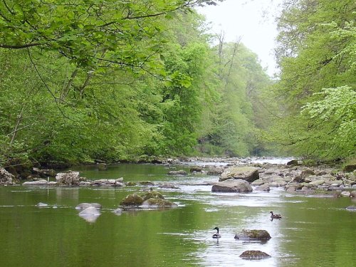 Allen Banks,Northumberland