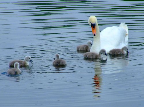 Kings Mill reservoir