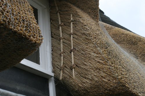 Broadway thatch