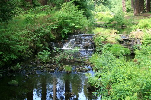 Cragside Estate, nr Rotherbury, Northumberland.