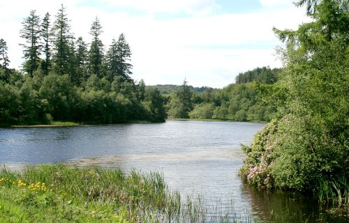 The Lake, Cragside Estate, nr Rotherbury, Northumberland.