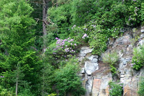 Cragside Estate, nr Rotherbury, Northumberland.