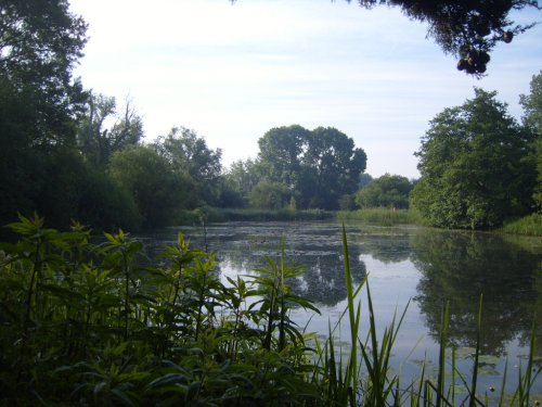 Lake at Woods Mill