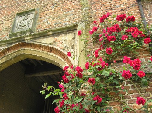 Roses over the main entrance archway at Sissinghurst castle, Kent