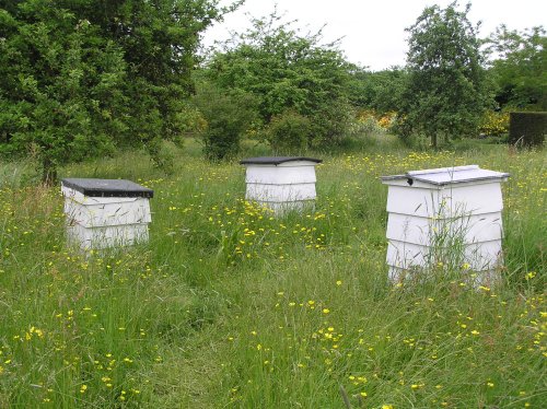 Beehives in the meadow at Sissinghurst castle garden, Kent