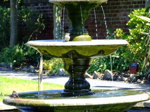 Fountain in the park
