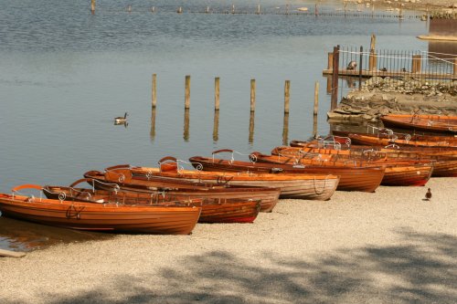 Rowing boats for hire