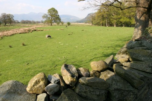 Looking towards Derwentwater