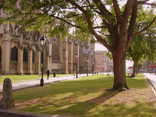 Bristol Cathedral and College Green
