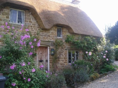 Great Tew cottage and flowers