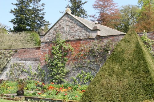 Espaliered trees in the walled garden