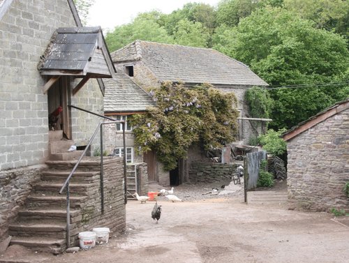 Quintessential Welsh farmyard