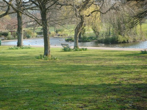 Collet Park - Shepton Mallet