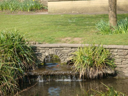 Collet Park - Shepton Mallet