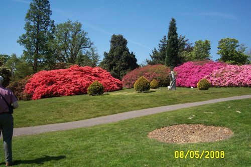 Leonardslee Gardens