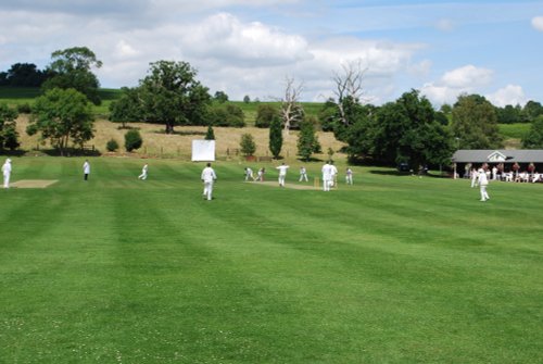 Sunday afternoon cricket