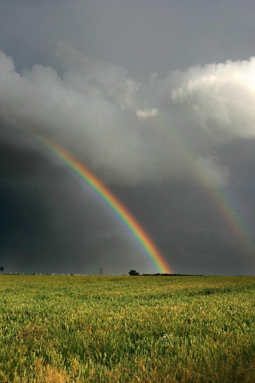 Rainbow near Elmhurst