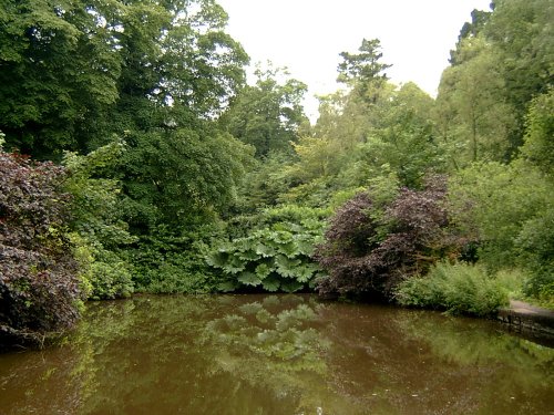 Lake at Cockington Court.