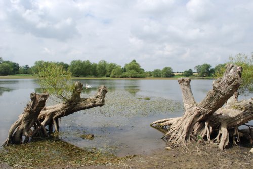 Saddington Reservoir